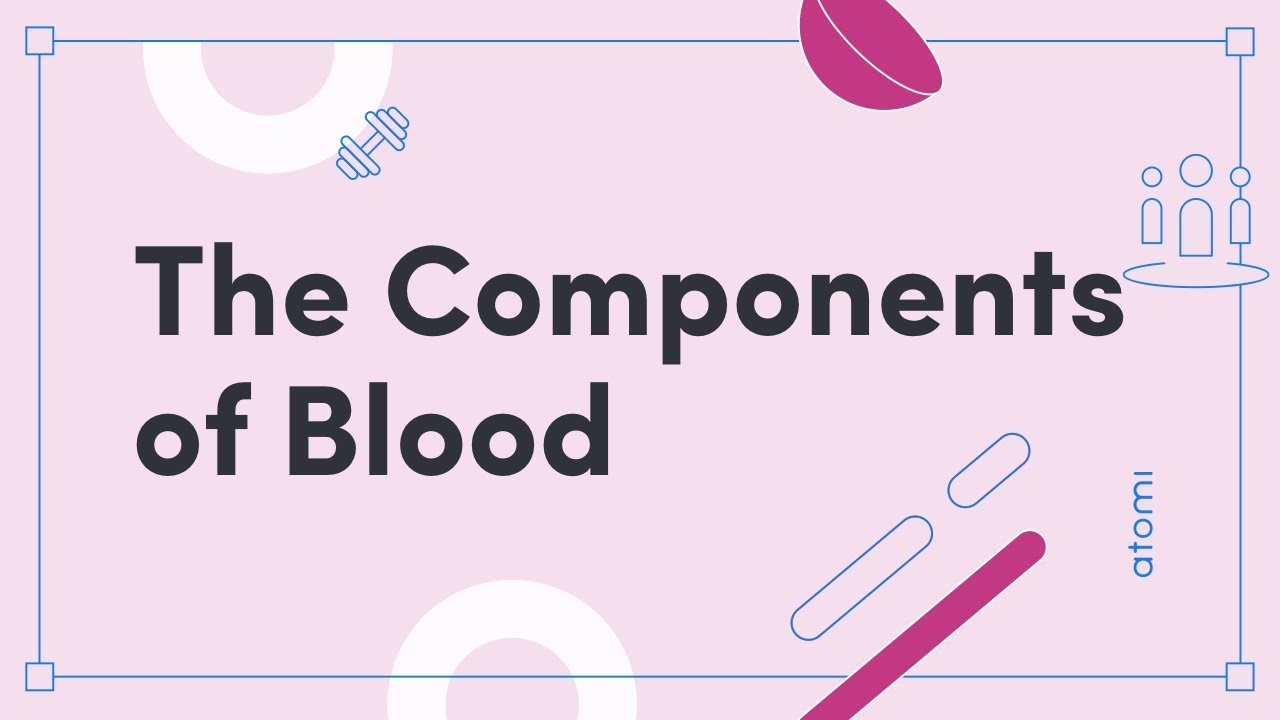NSW Y11-12 PDHPE: The Components of Blood