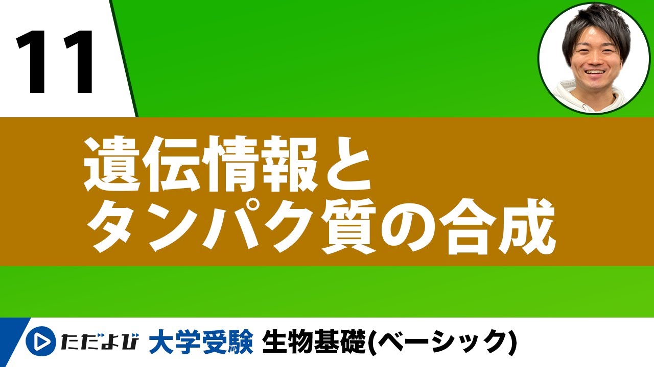 【生物基礎】遺伝情報とタンパク質の合成【第11講】