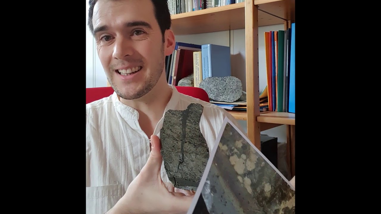 Caillou confiné (53) : un séisme dans la main : une pseudotachylyte, par Samuel Angiboust.