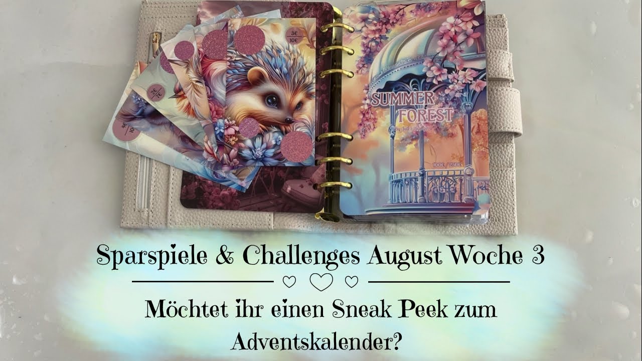 🦋Sparspiele & Challenges August Woche 3 | Frage: Adventskalender Sneak Peek? | Umschlagmethode🦋
