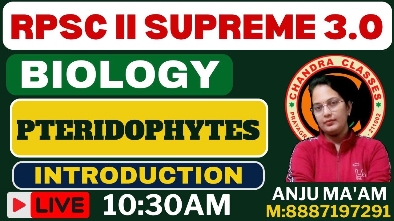 PRERIDOPHYTES II INTRODUCTION BY ANJU MAM #CHANDRA CLASSES 9264915953