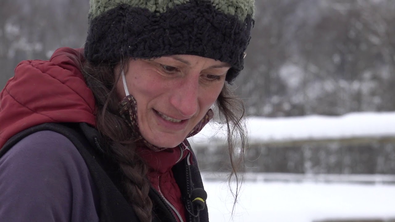 J'ai test&eacute; : le ski-joering