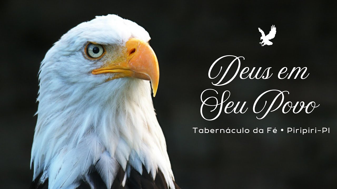 11/02/2026 - Quarta | Culto de Pregação