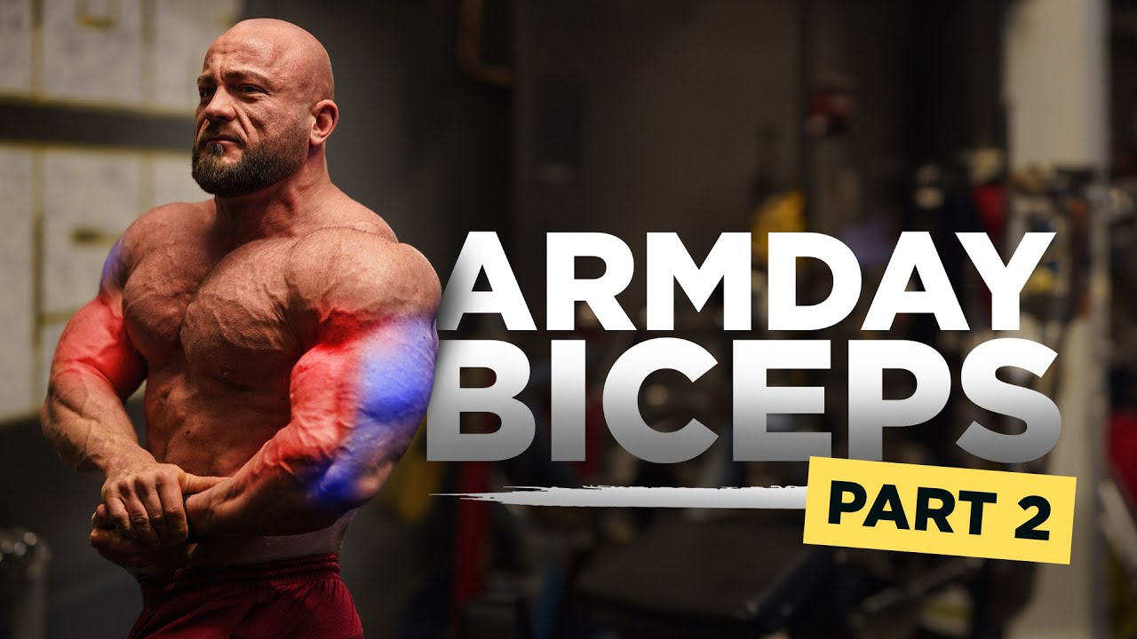Struktur für ein perfektes ARMTRAINING | Teil 2: Bizeps