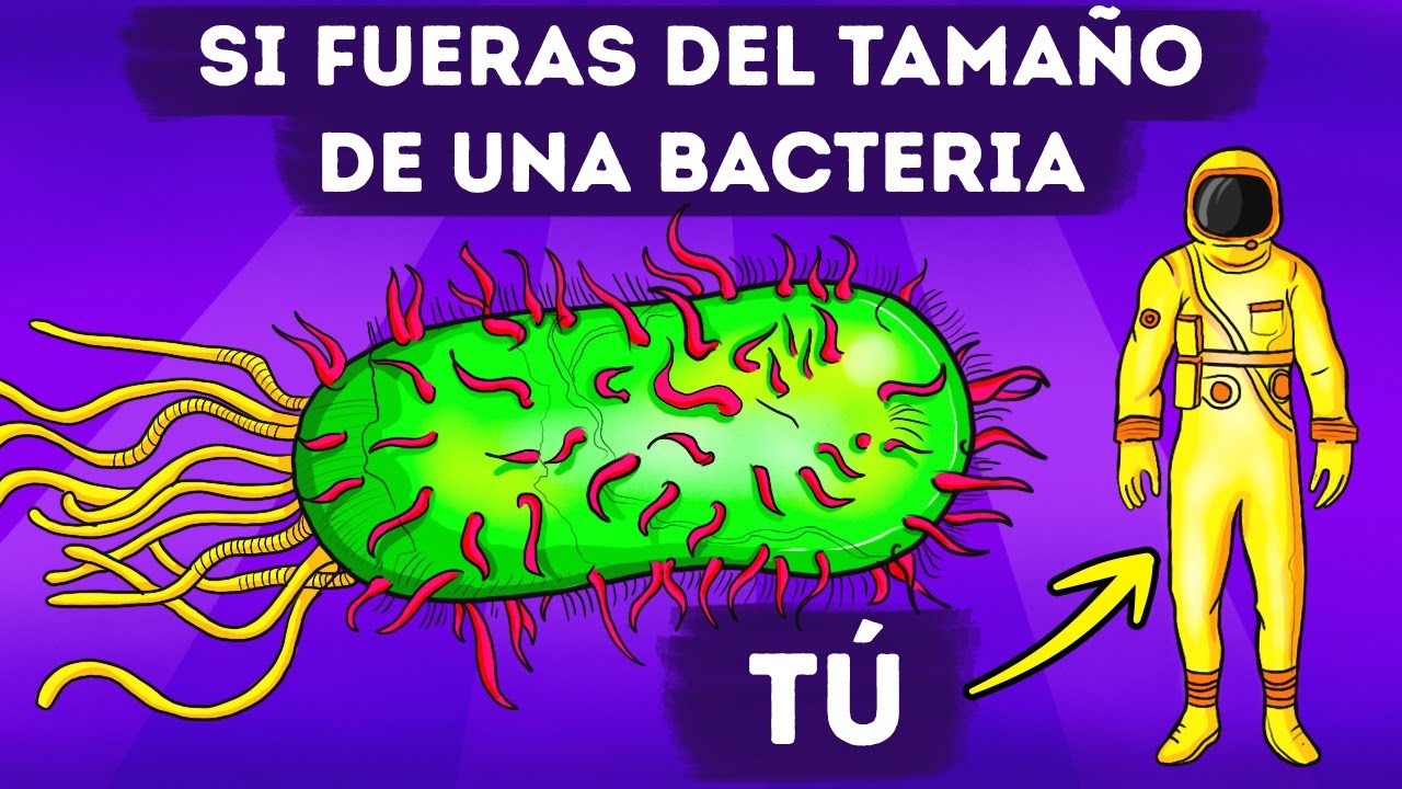 Qué pasaría si te volvieras tan pequeño como una bacteria