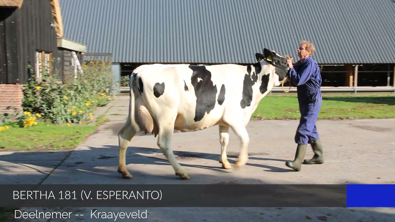 Vaarzen videokeuring Ommen 2021