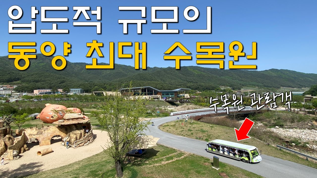 무려 2200억 들여 만든, 걸어 다니기 힘들 정도로 너무나 넓은 동양 최대 수목원 | 국내여행 | 일일여행