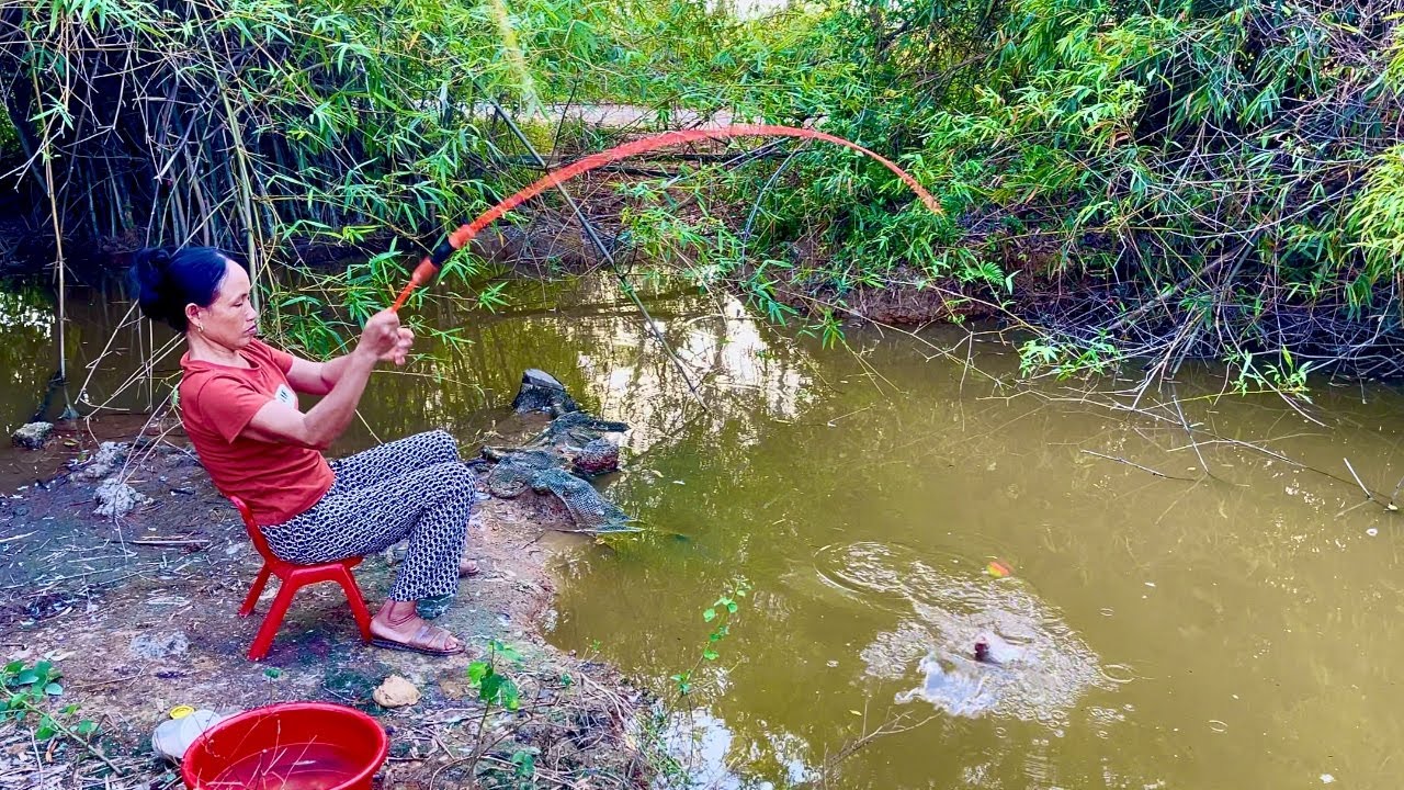 Fishing Video || My mother does traditional fishing in the big pond in the village || Hook fishing