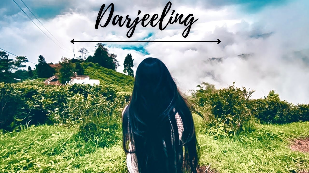 How is Darjeeling in Monsoon | Siliguri to Darjeeling Wizzride Booking Process and Fare Details |