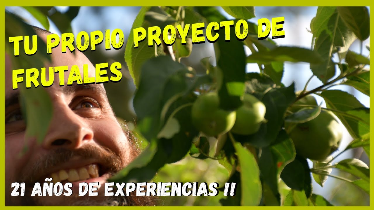Que arboles FRUTALES plantar? | Cuales dan mas FRUTA? 🍎🍏🍇 25 OPCIONES