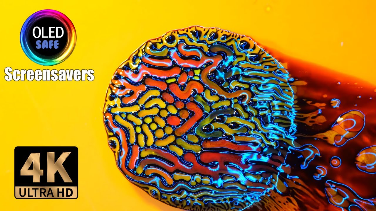 Liquid Ink Abstract  Multi Color - 11 Hours - 4K - OLED Safe
