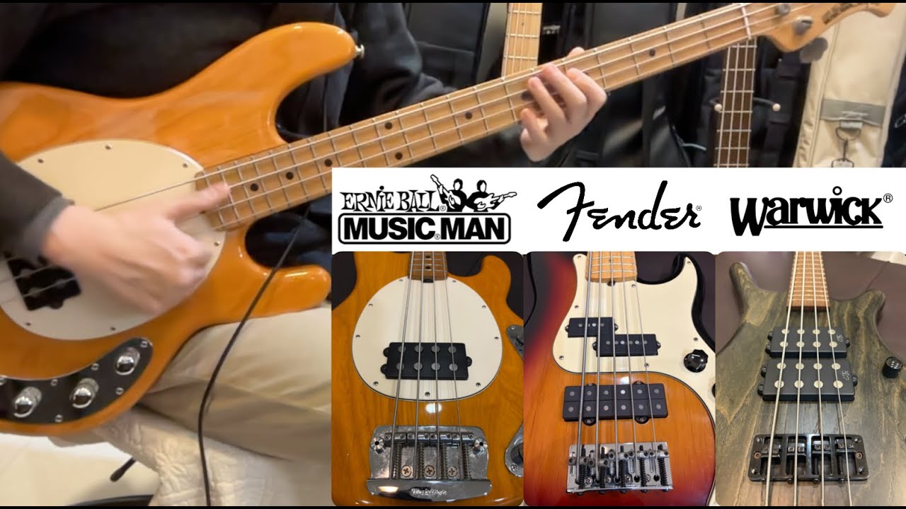 Humbucker Bass Guitars : musicman vs. warwick vs. fender comparison