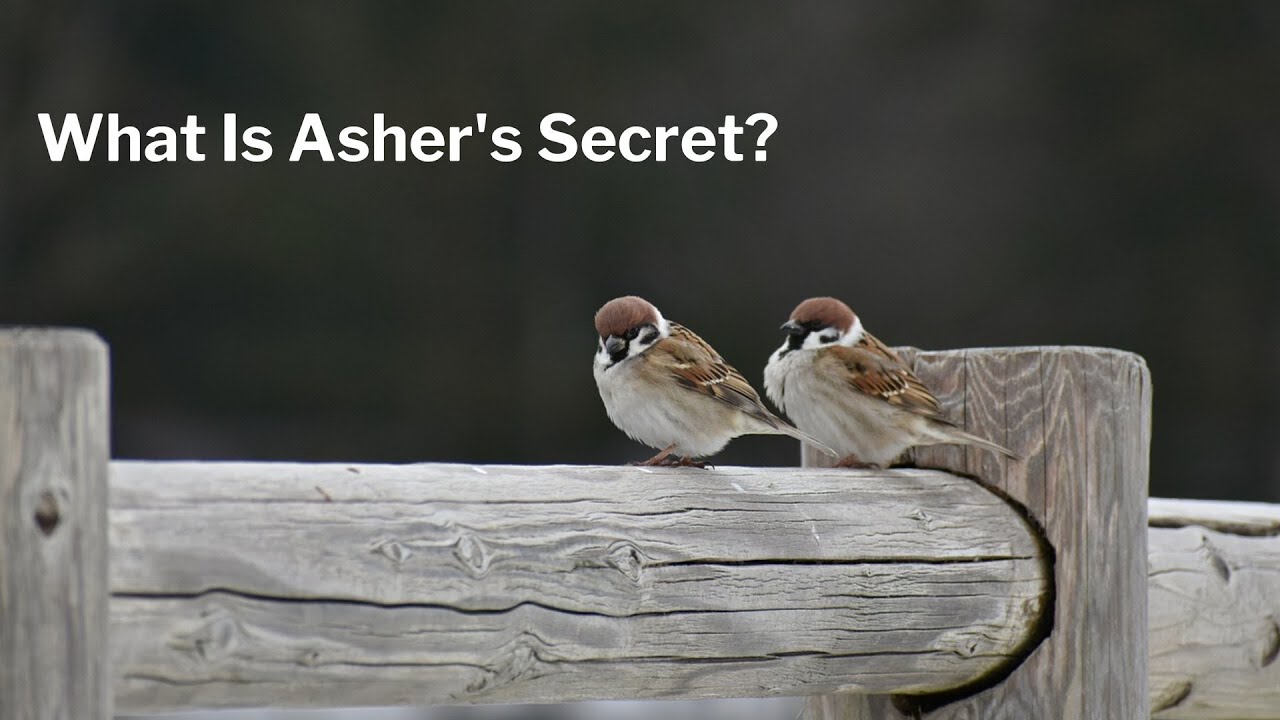 What Is Asher's Secret?