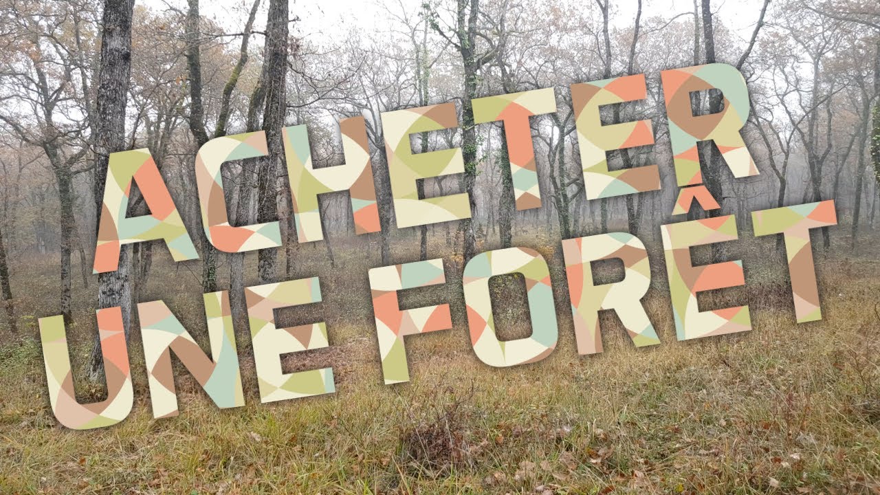 Les démarches pour acheter une forêt: contact avec le vendeur, prêt bancaire et frais de notaire