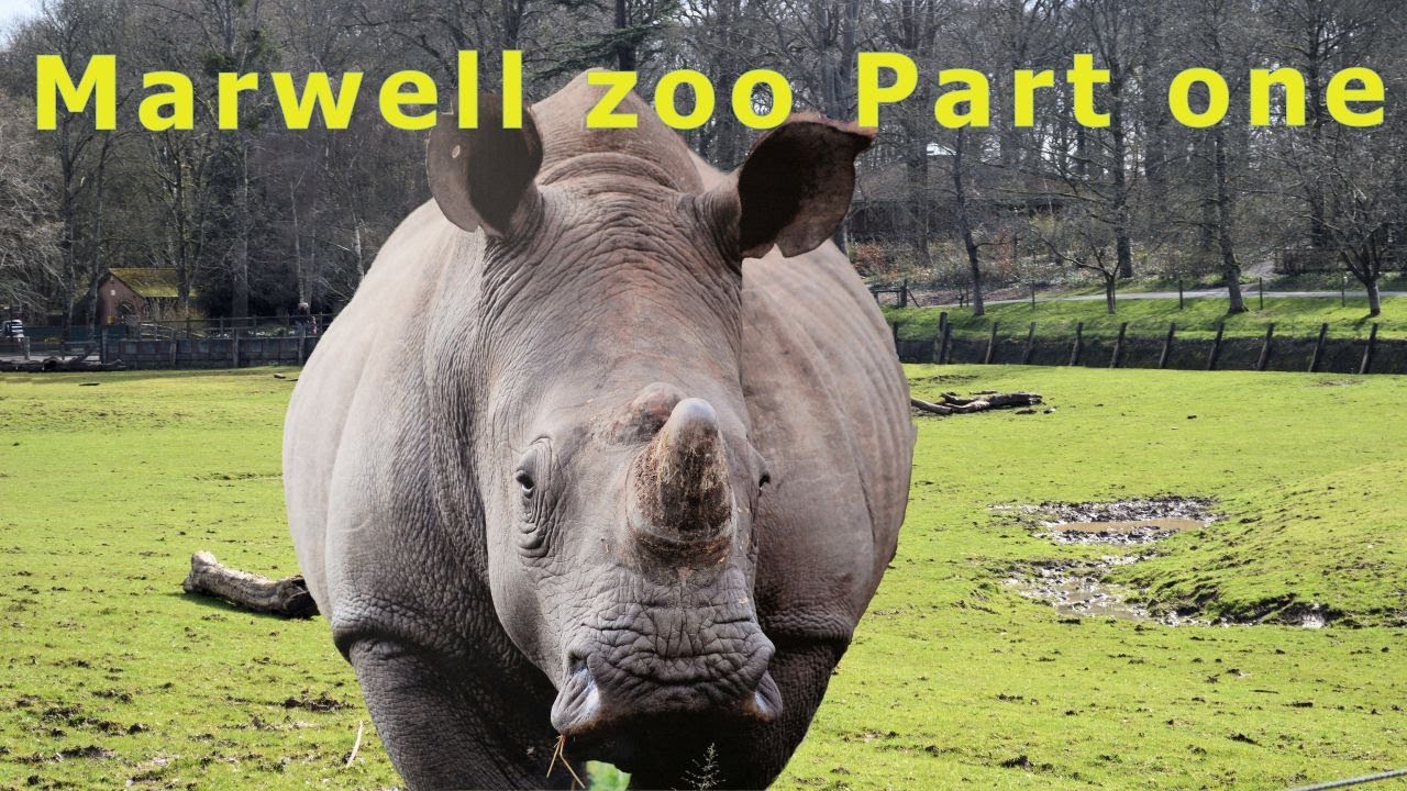Marwell zoo Part one