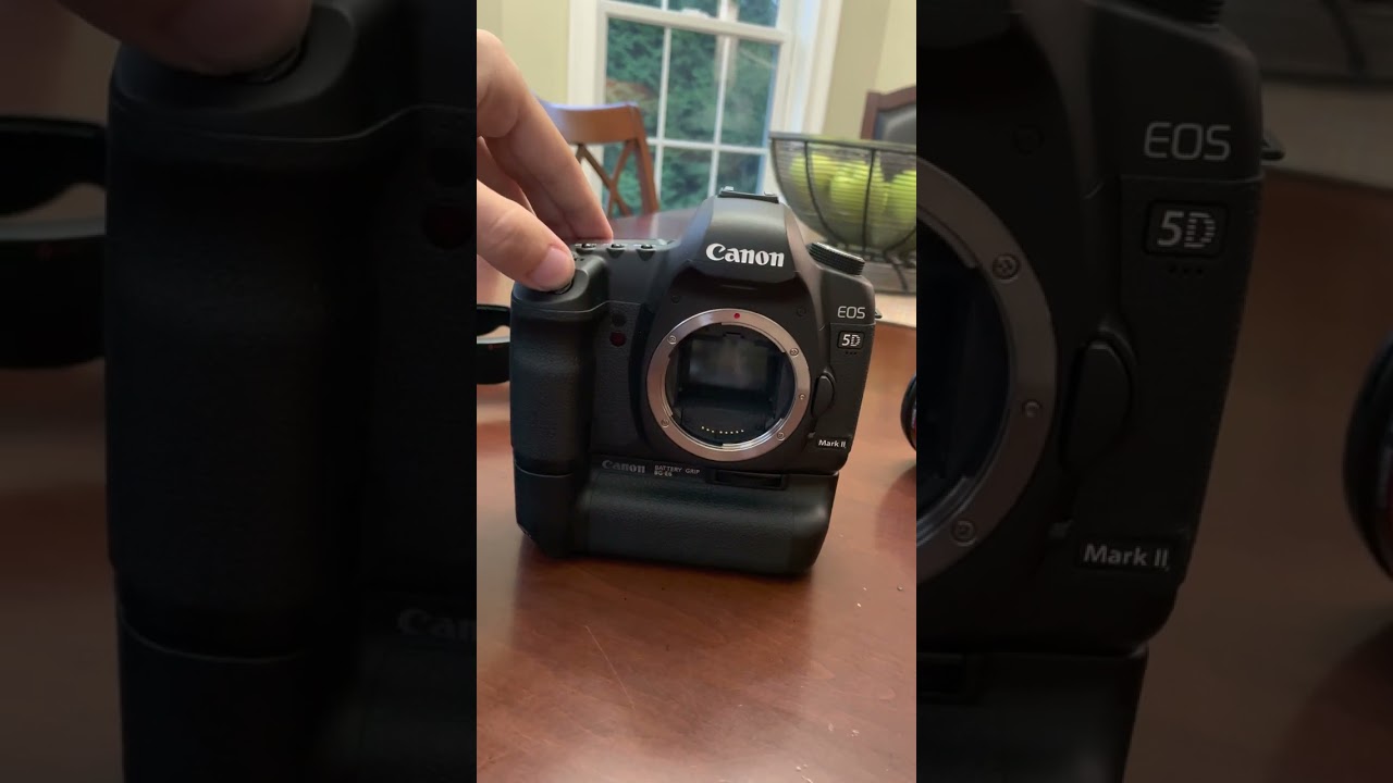 Canon 5d Mark ii Burst vs. Canon 1DX Mark ii Burst