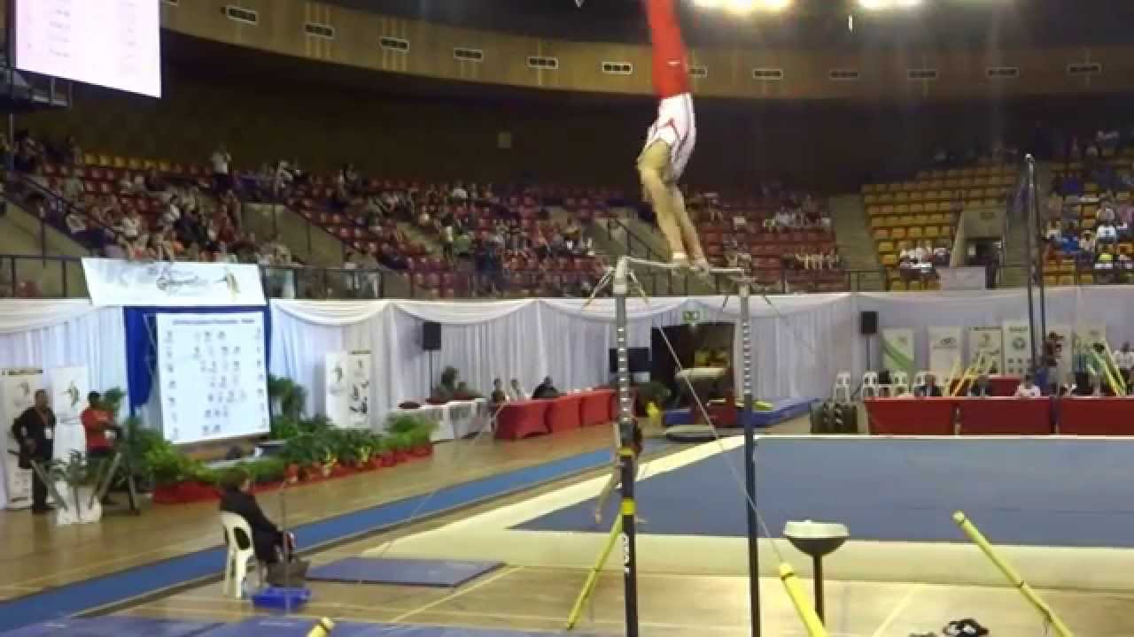 Mohamed El Saharty EGY - High Bar Final - African Champs 2014