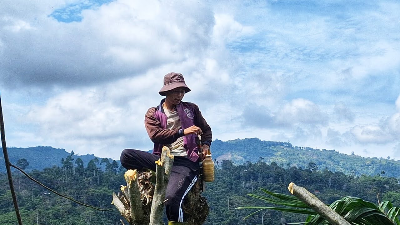 Seharian Kerja Dikebun, Perjuangan Cari Rejeki Halal