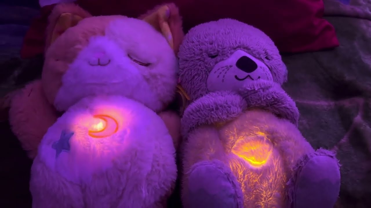 VTech Soothing Slumbers Sleepy Kitten & Fisher-Price Soothe ‘N Snuggle Otter Comparison