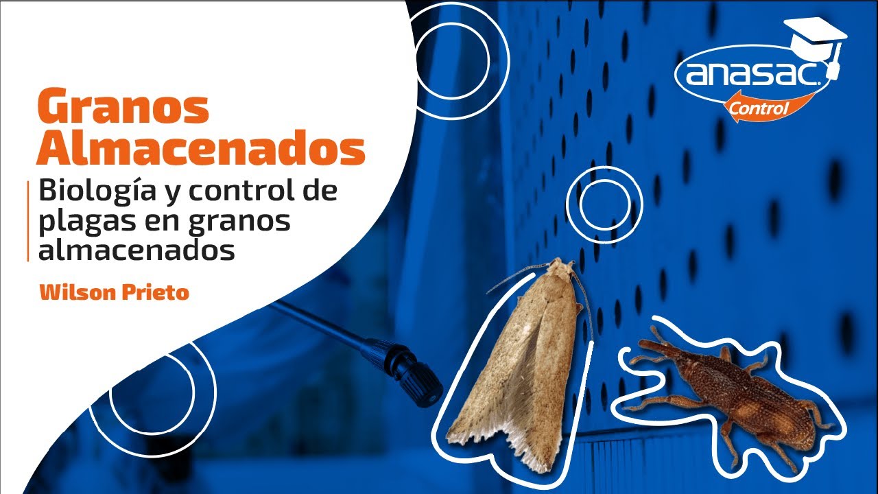 9° SEMINARIO INTERNACIONAL DE CONTROL DE PLAGAS | GRANOS ALMACENADOS - WILSON PRIETO