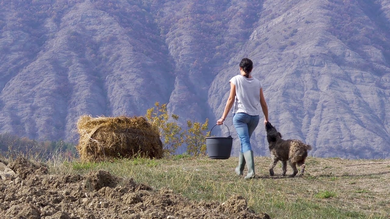 Le Ragioni della Terra. Parole, gesti e storie dell'agricoltura piemontese