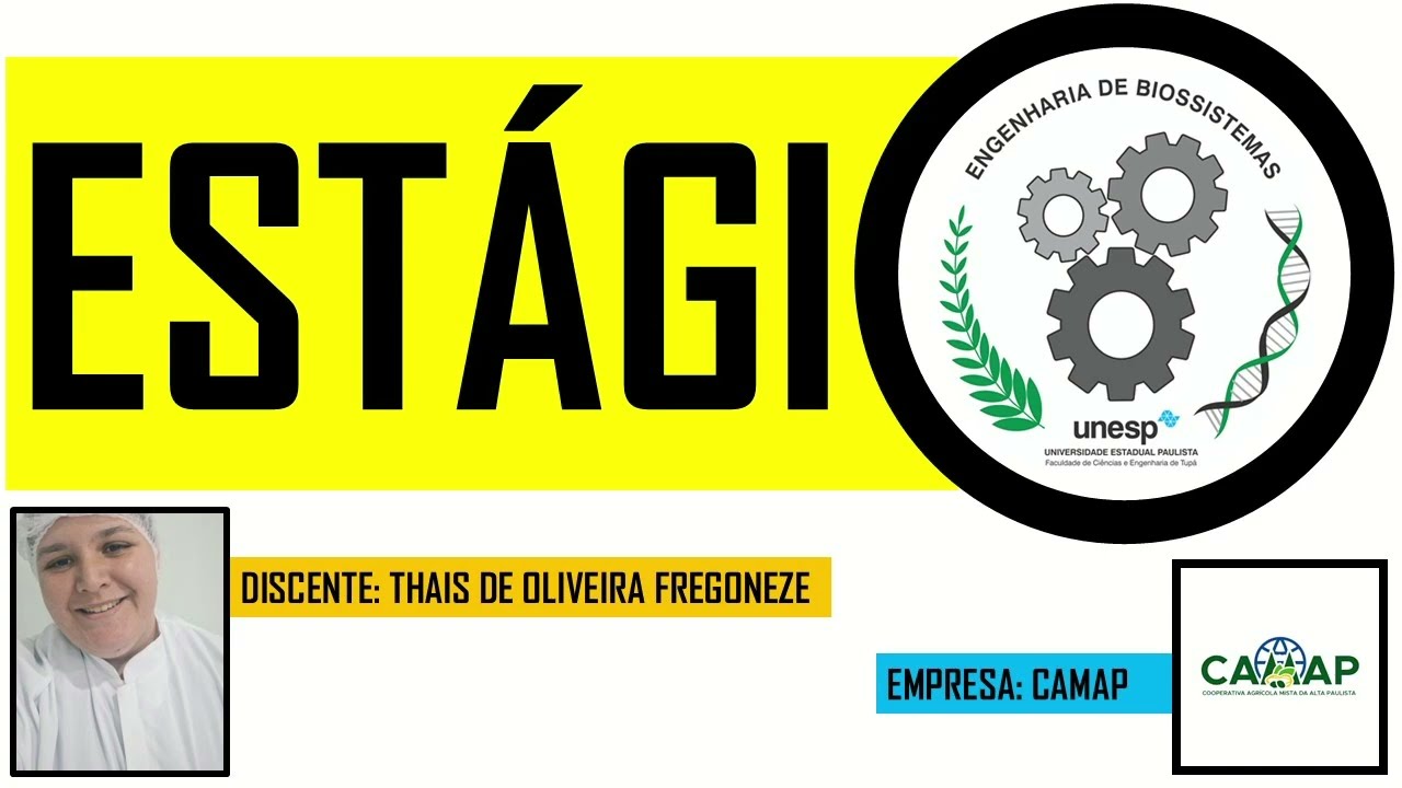 Estágios 2025 - Thais (CAMAP)