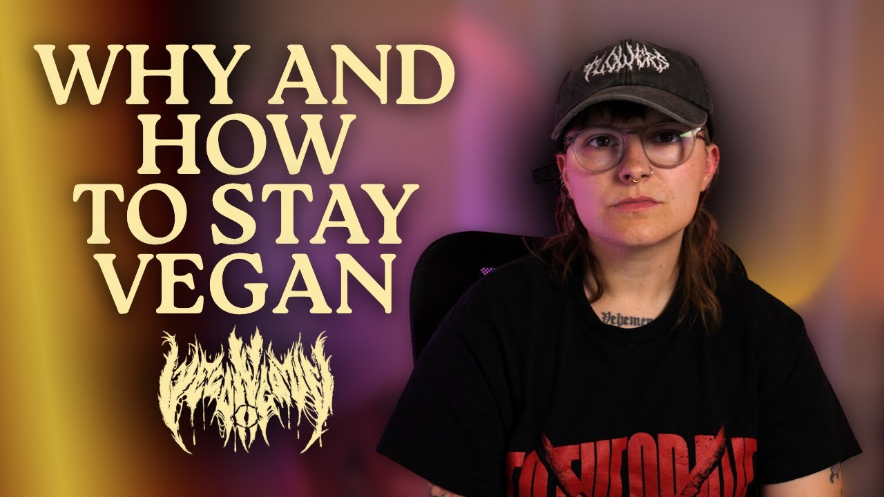 What I&rsquo;ve Learnt Being Vegan for 11 Years | My Advice