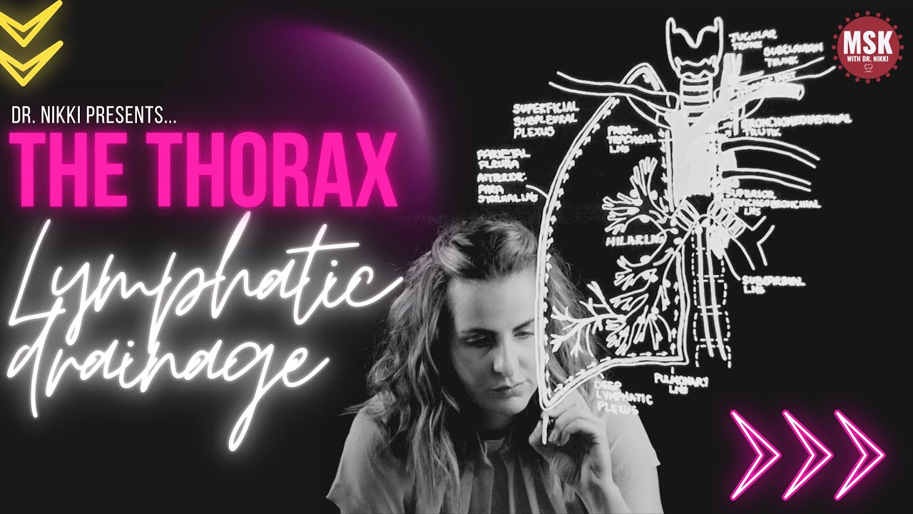 Lymph Nodes and Drainage of the Thorax - A Lightboard Production