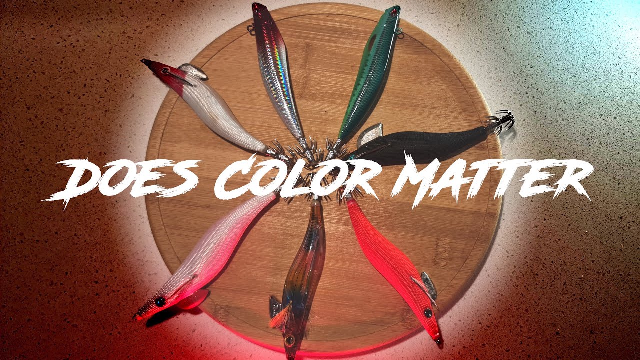 Which Squid jig is the best? #westernportbay