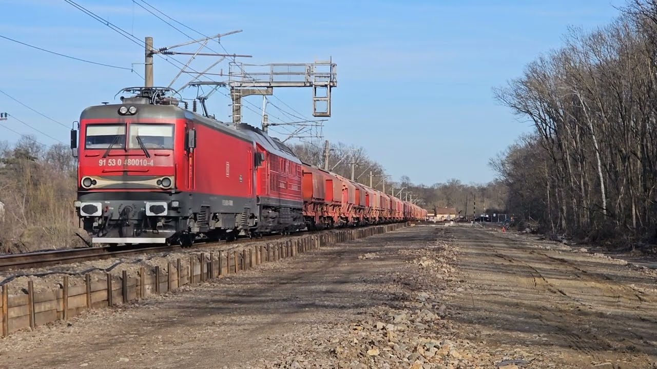 Trenuri & Activitate feroviara la padurea verde Timisoara