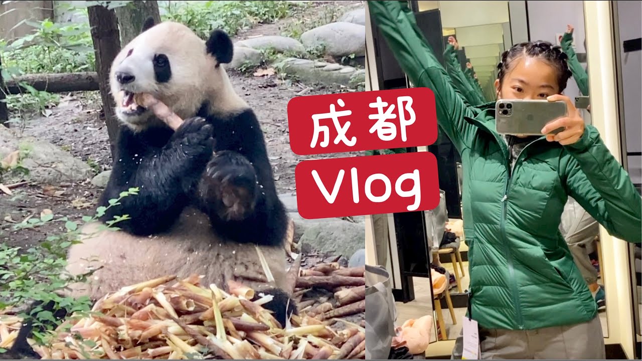 大熊猫治愈了我｜超纠结jacket选购｜床车自驾Ep. 38