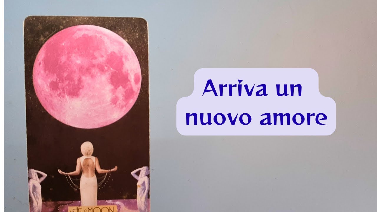 🎴Ti presento il tuo NUOVO amore! Descrizione, dettagli e circostanze🎴