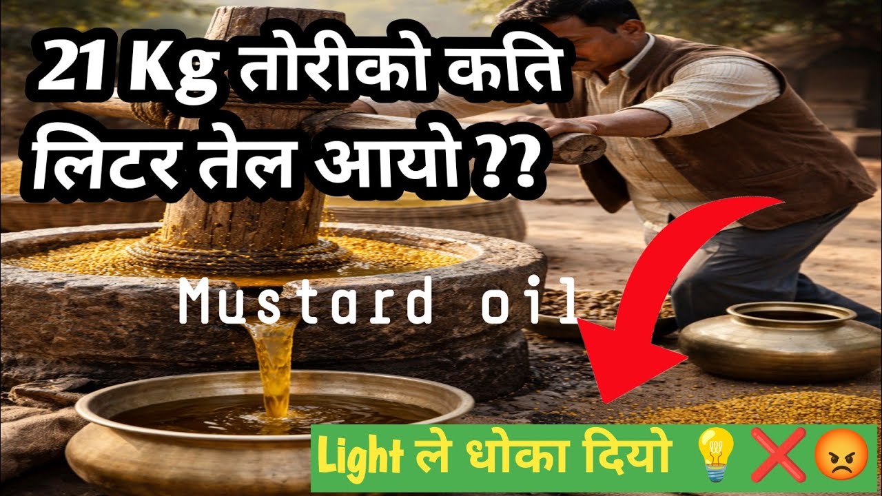पोहोर साल्को तोरी लाई बिदाई गरियो ।। मिलमा गाको बत्ती गयो💡😩 #mustard #mustardoilmill