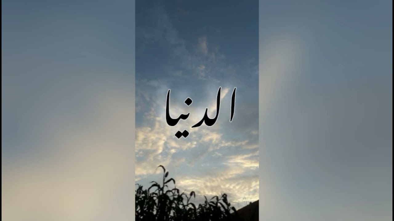 عفروتو و مهاب 