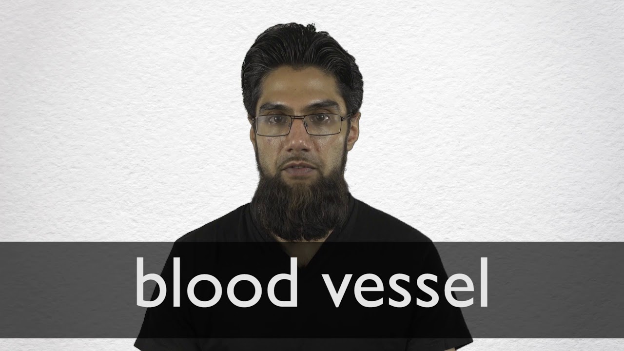 How to pronounce BLOOD VESSEL in British English