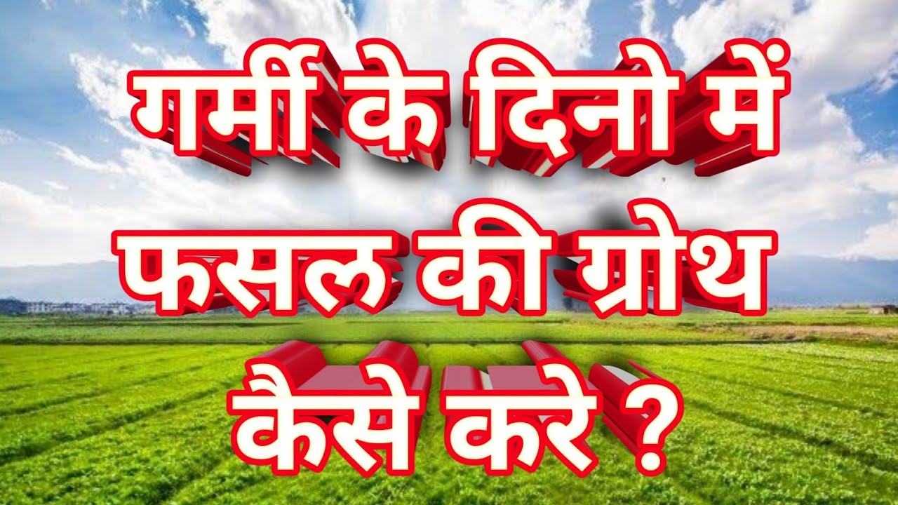 गर्मीयो के दिनो में फसल कि ग्रोथ कैसे करे ?🌳/plantgrowth