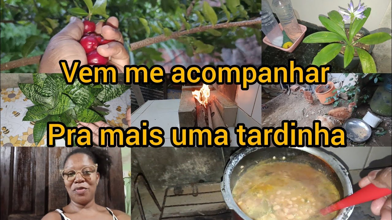 Vlog de uma tardinha