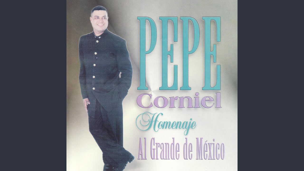 Necesito una compañera