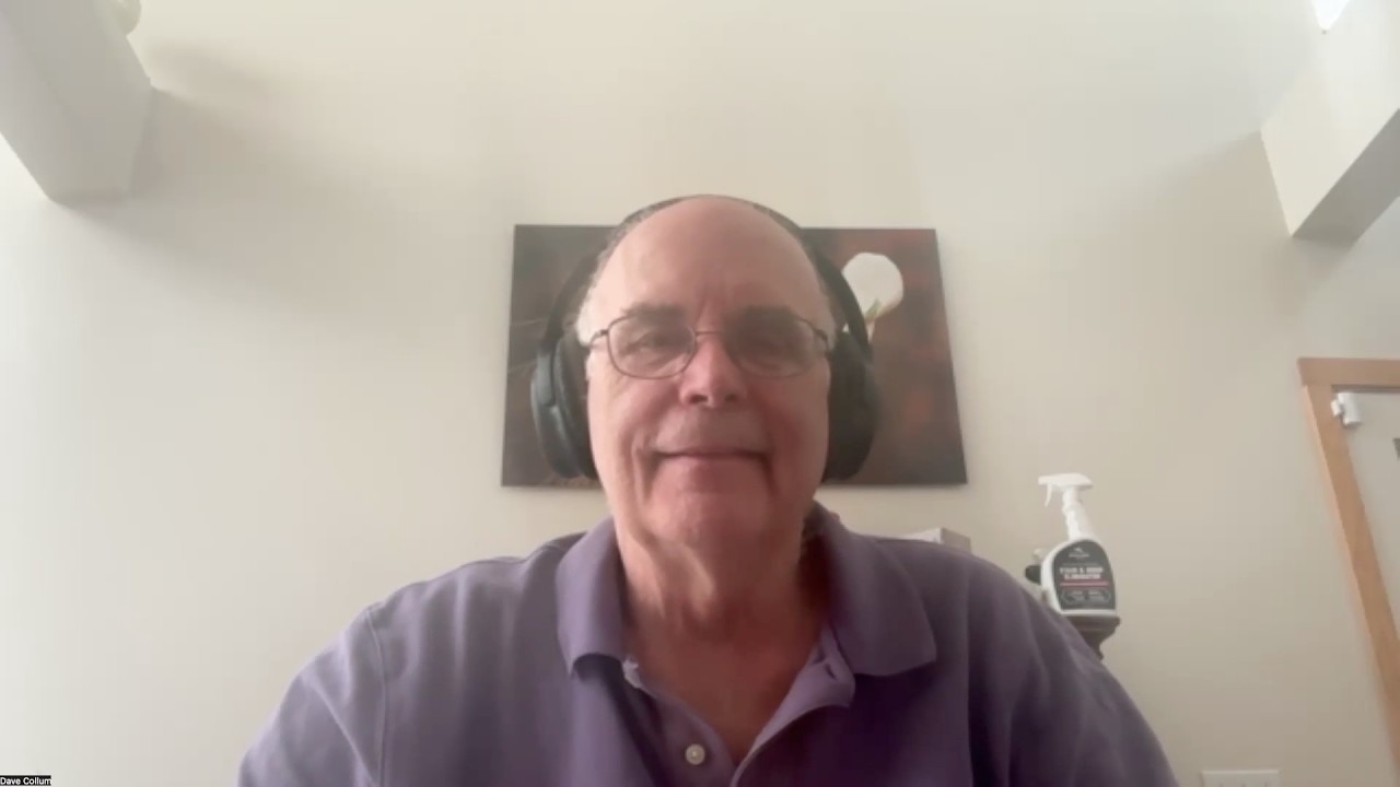 Epstein Could Be Alive- Dave Collum