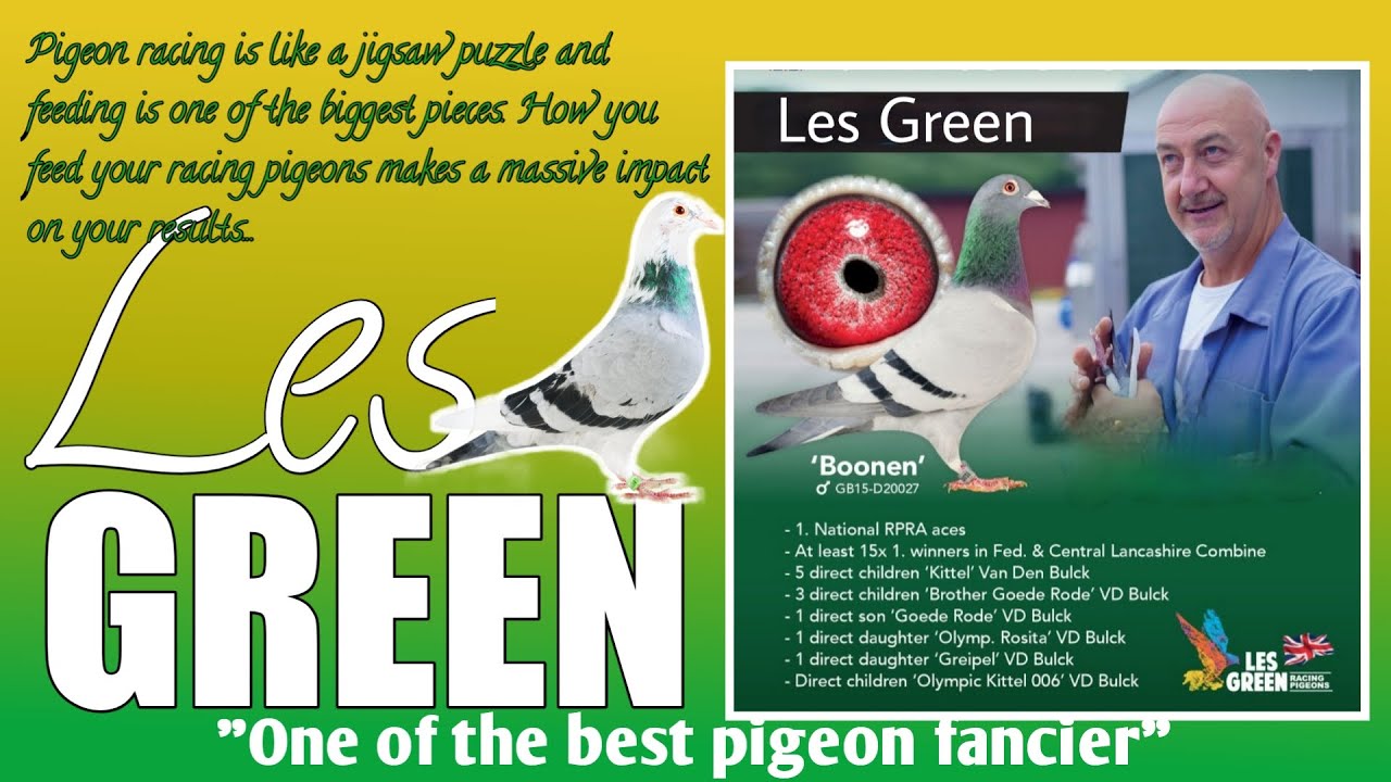 LES GREEN - 