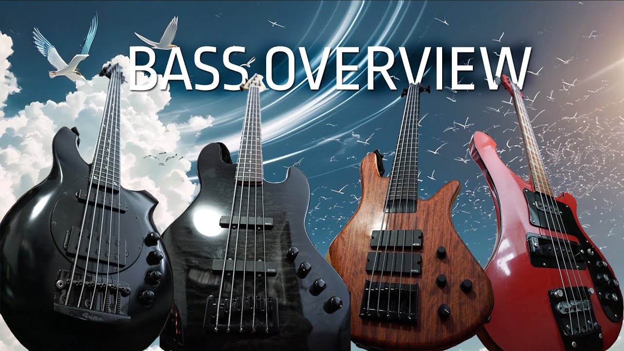 Bass Overview | Zon vs Spector vs Rickenbacker vs Music Man