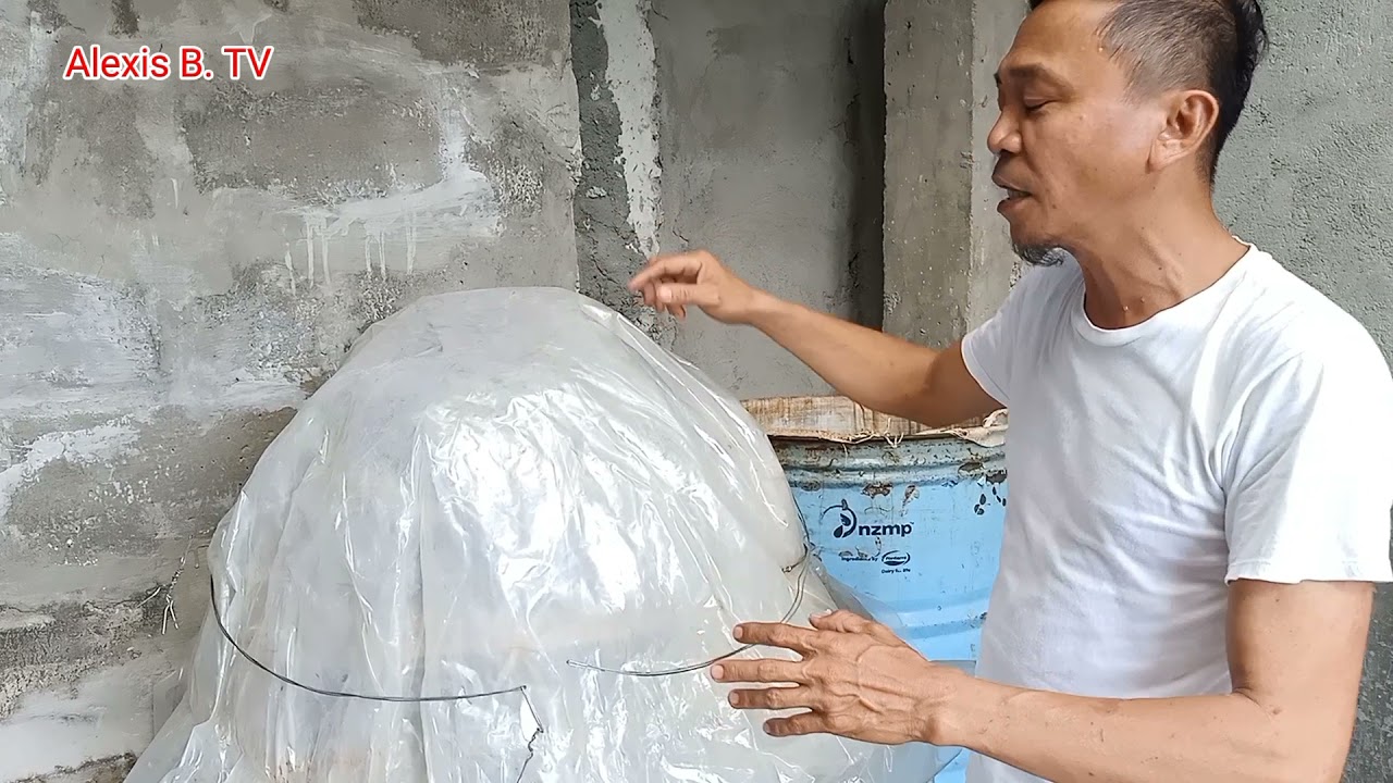 Tips on pasteurization of mushroom fruiting bag// Alexis B. TV