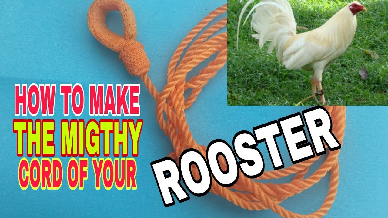 HOW TO MAKE A MIGHTY CORD FOR YOUR ROOSTER?