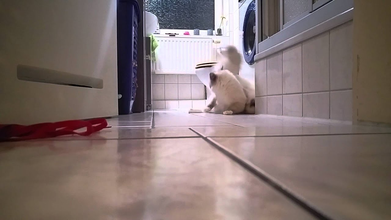 Auflauern..