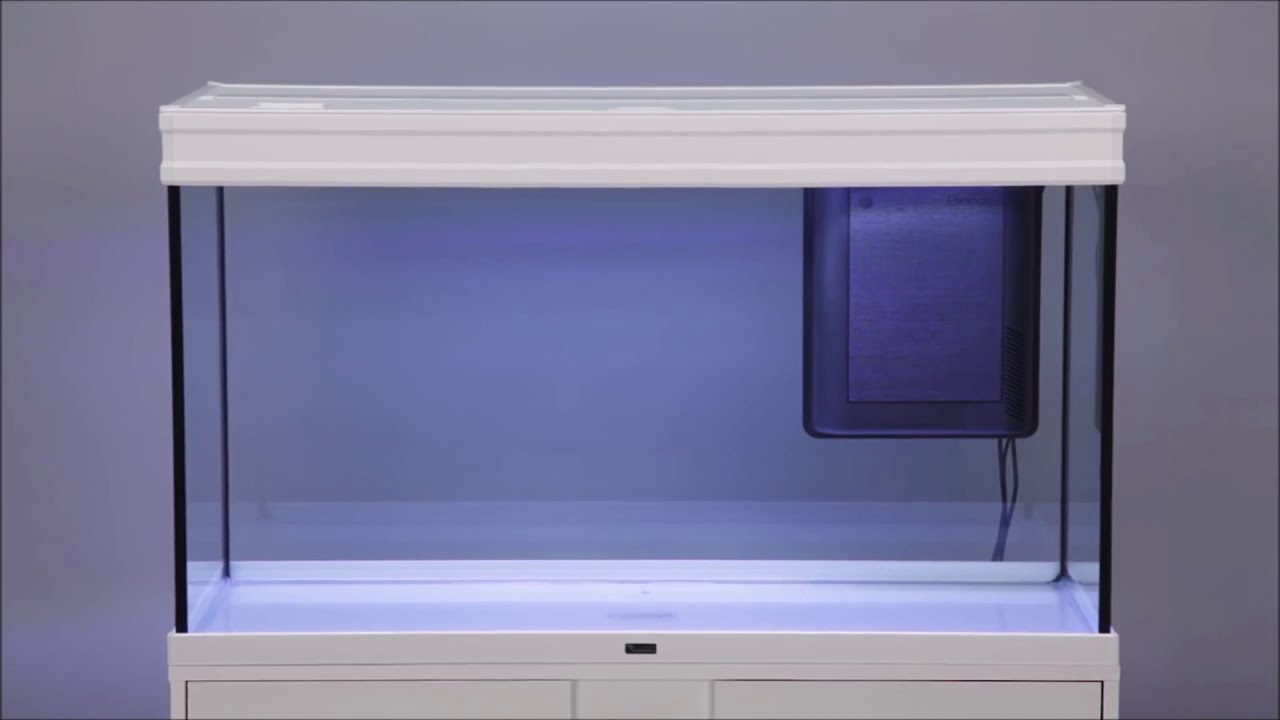 Aquarium Élégance Expert AQUATLANTIS
