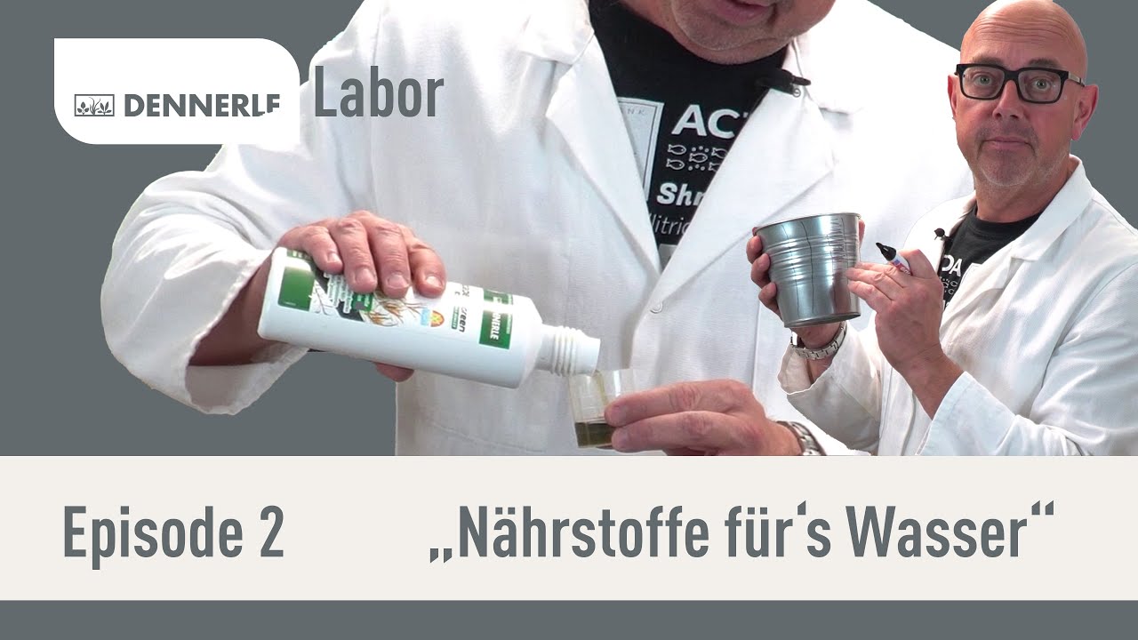 Nährstoffe im Wasser? Die richtige Düngung | DENNERLE Labor | Episode 2