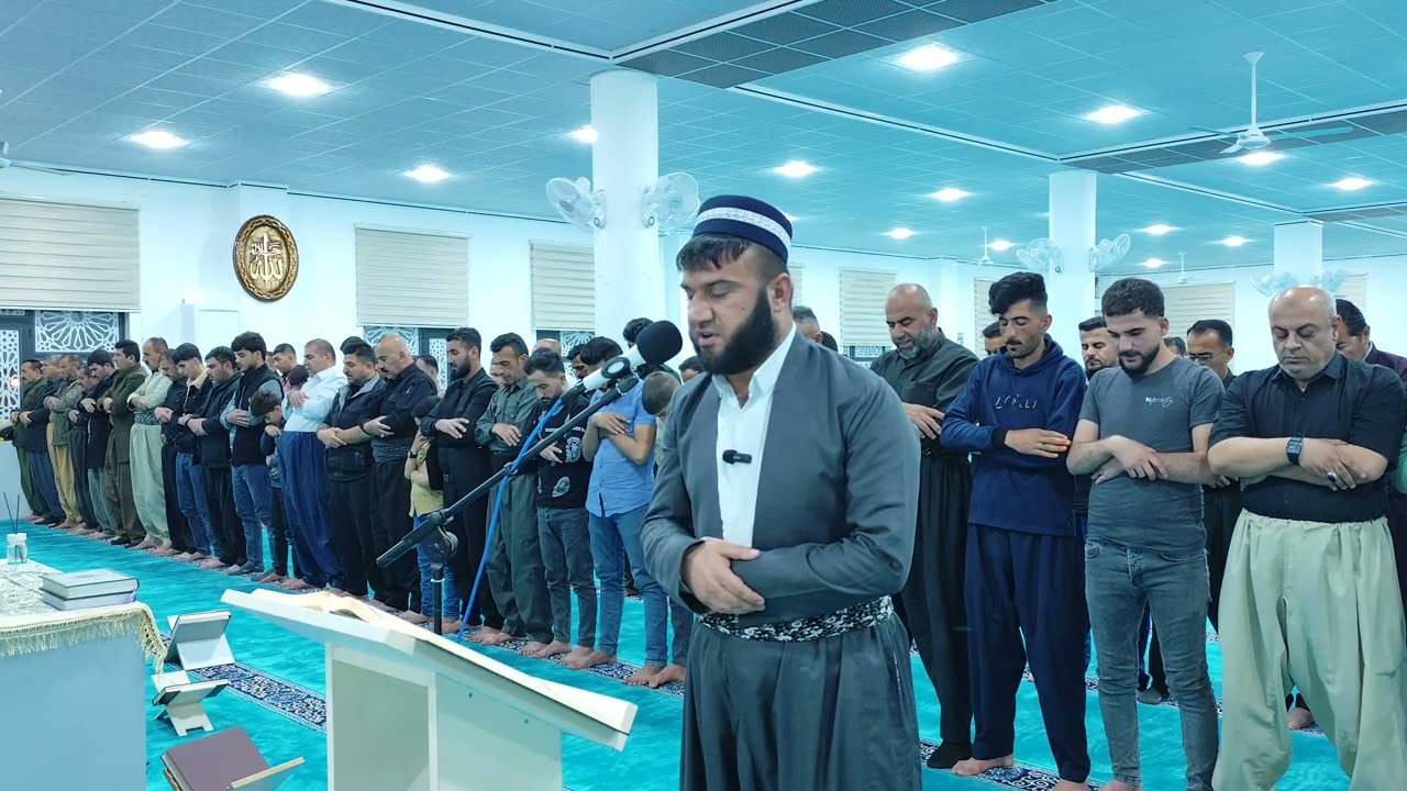 ١٩ فبراير ٢٠٢٦