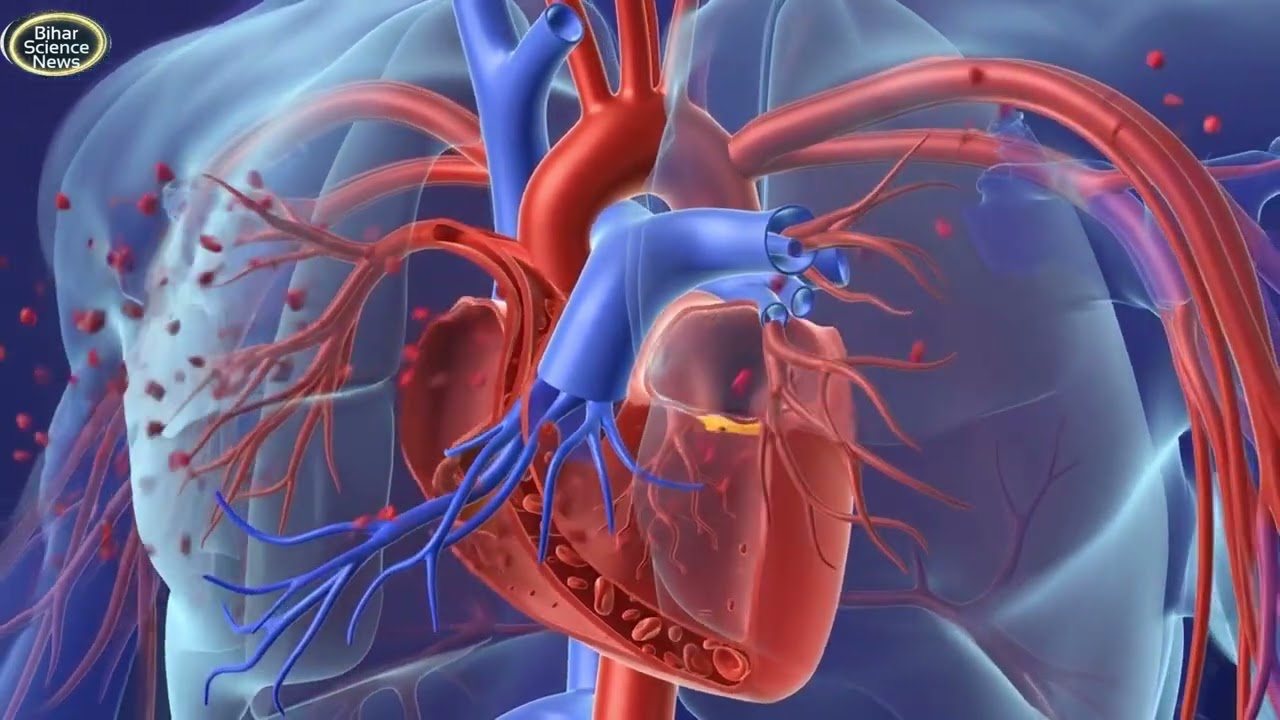 👉 Blood Vessels Explained in Hindi | Artery Vein Capillary | Biology Class 10 11 12 | NEET