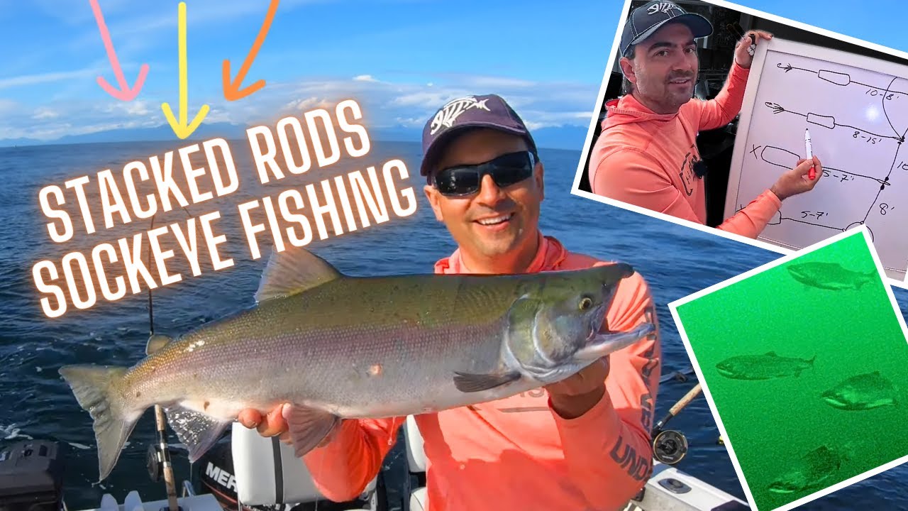 How to Troll for SOCKEYE Salmon | Double Rod Downrigger Setup with DUMMY Flashers!