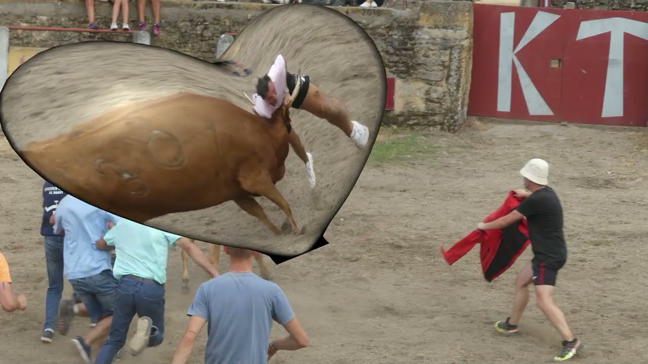 CASILLAS DE FLORES VAQUILLAS 2025